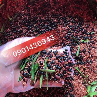 TRà gạo lứt đậu đen nhà làm