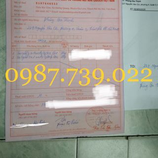 Son GOLD 2 đầu