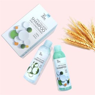 Dầu cặp collagen Pizu