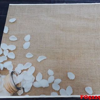 Vải phông nền FO5229 100x140cm