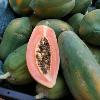 Đu đủ Hoà Long - Bà Rịa