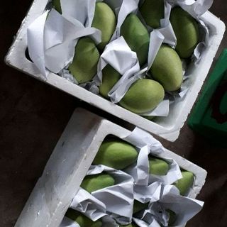 giá sỉ xoài cát hòa lộc