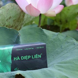 Trà lá sen Hà Diệp Liên