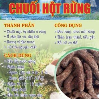 Chuối rừng chuối hột rừng chuối hột rừng giá sỉ giá sỉ