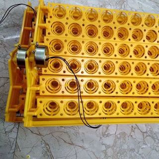 Máy Ấp Trứng p100