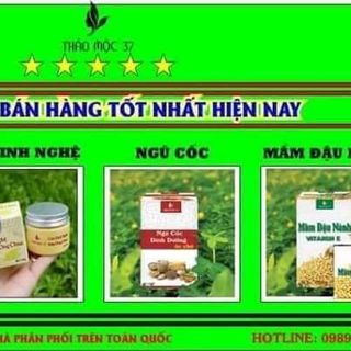 Cao tinh NGHỆ SỮA ONG CHÚA THẢO MỘC 37