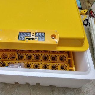 Máy Ấp Trứng Ánh Dương- bản 108 trứng- Lắp giáp Sẵn- Tự Động Hoàn Toàn
