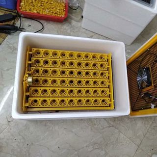Máy Ấp Trứng Ánh Dương- bản 108 trứng- Lắp giáp Sẵn- Tự Động Hoàn Toàn