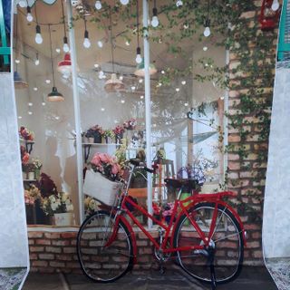 Vải phông nền FO6265 140x200cm