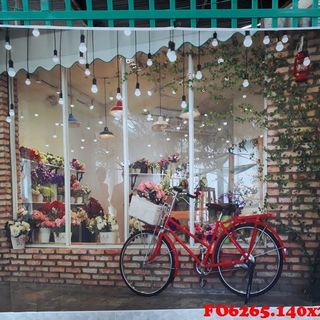 Vải phông nền FO6265 140x200cm