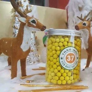 NGHỆ MẬT ONG RỪNG 37