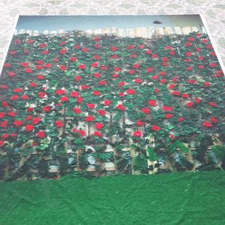 Vải phông nền FO6320 140x200cm
