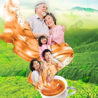 TIÊN THẢO MỘC TRÀ