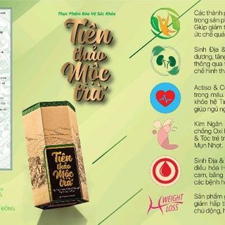 TIÊN THẢO MỘC TRÀ