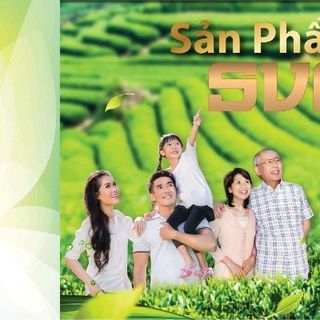 TIÊN THẢO MỘC TRÀ