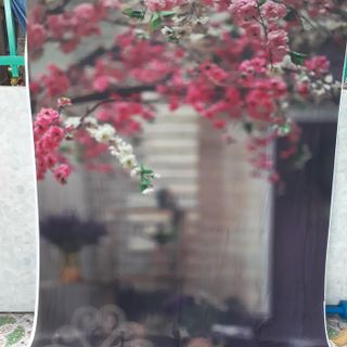 Vải phông nền FO6431 140x200cm