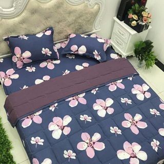 Bộ chăn ga gối đũi cotton mềm mịn kt 1m6x2m
