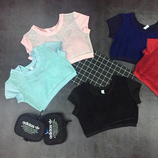 Áo tập tank croptop phối lưới