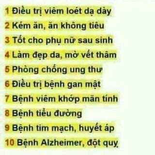 NGHỆ MẬT ONG RỪNG