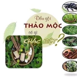 DẦU GỘI ĐẦU THẢO DƯỢC DÂN GIAN