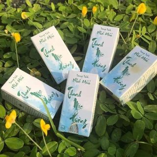 Viêm xoang viêm mũi dị ứng thanh mộc hương