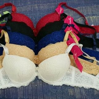 DB811 - Áo ngực Damore ren mút dày nâng ngực hoàn hảo