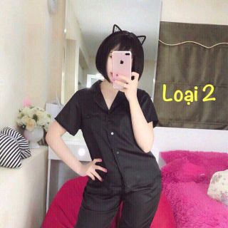 set bộ bèo TNQD