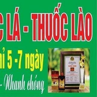 CAI THUỐC LÁ THUỐC LÀO NO MSOKING XUÂN VINH