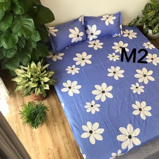 Bộ ga giường kèm 2 vỏ gối nằm cotton poly