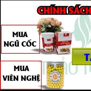 chính sách công ty thảo mộc 37