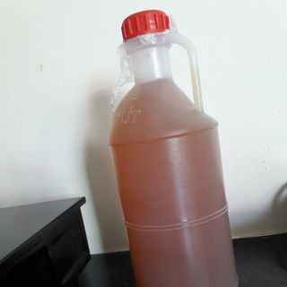 Nước rửa chén Enzyme trái bồ hòn