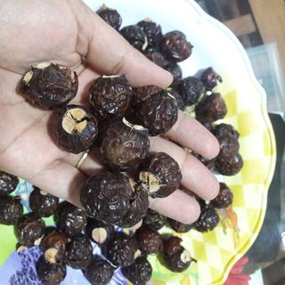 Nước rửa chén Enzyme trái bồ hòn