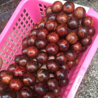 Gỗ sưa Lào