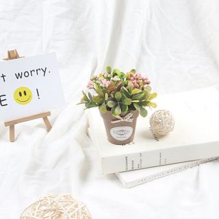 Hoa giả Chậu hoa mini