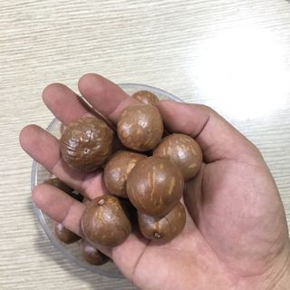 Hạt mắc ca tách vỏ Tây Nguyên