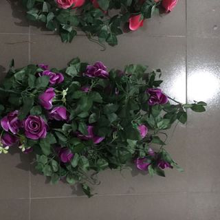 Dây hoa hồng treo tường