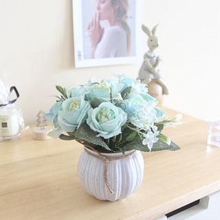 Chậu hoa để bàn