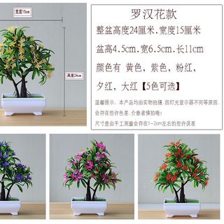 Chậu cây bon sai 02