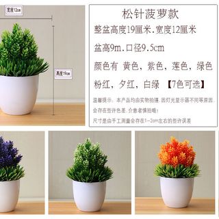 Chậu cây bon sai 03