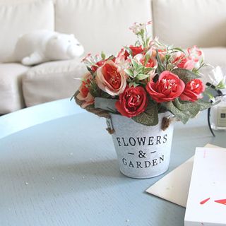 Chậu hoa mi ni để bàn