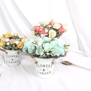 Chậu hoa mi ni để bàn