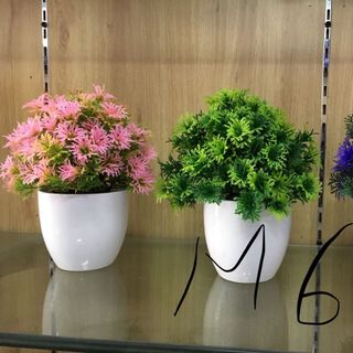 Chậu cây bon sai 04