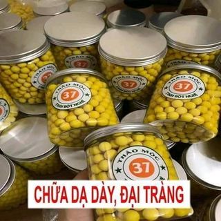 nghệ viên thảo mộc 37