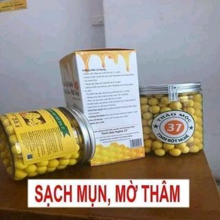 nghệ viên thảo mộc 37