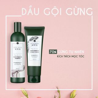 Cặp dầu gội xả gừng Weilaiya