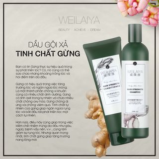 Cặp dầu gội xả gừng Weilaiya