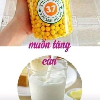 nghệ mật ong rừng thảo mộc 37