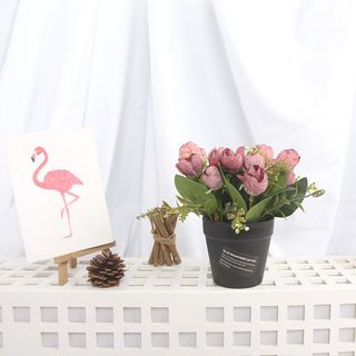 chậu hoa mini để bàn