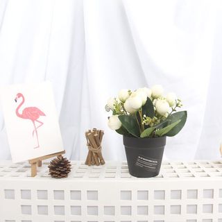 chậu hoa mini để bàn