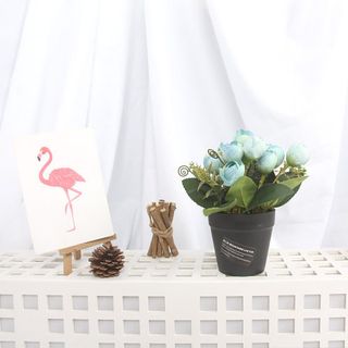 chậu hoa mini để bàn